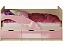 Детская кровать Дельфин-1 МДФ 80х160 (Розовый металлик, Крафт белый), ЛДСП - миниатюра