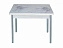 Стол обеденный поворотно раскладной фотопечать Симпл / бетон белый Цветы на сером / опора круглая серебристый металлик,  - миниатюра