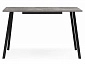 Кортни 120 (160) x 80 бетон светлый / черный матовый Стол деревянный - фото №6