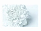 Стол обеденный поворотно раскладной фотопечать БРОНКС / бетон белый Цветы 018 / опора круглая муар белый - фото №3