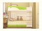 Двухъярусная кровать Бемби МДФ (фасад 3D) (Белый глянец, шимо светлый) - фото №3