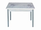 Стол обеденный поворотно раскладной фотопечать Симпл / бетон белый Цветы на сером / опора круглая серебристый металлик - фото №2